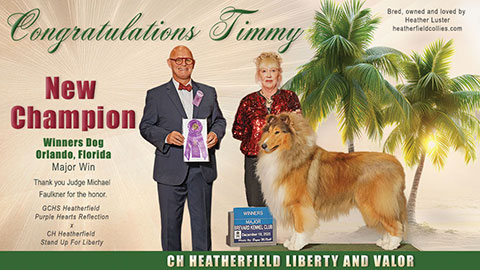Heatherfield Collies -- CH Heatherfield Liberty And Valor