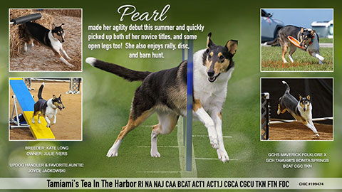 Julie Ivers -- Tamiami's Tea In The Harbor RI NA NAJ CAA BCAT ACT1 ACT1J CGCA CGCU TKN FTN FDC