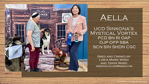 Sinkona Collies -- UCD Sinkona's Mystical Vortex PCD BN RI OAP OJP OFP SBA SCN SIN SHDN CGC