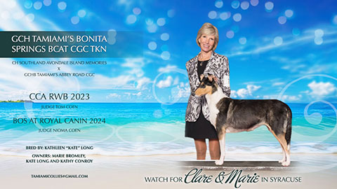 Julie Ivers -- Tamiami's Tea In The Harbor RI NA NAJ CAA BCAT ACT1 ACT1J CGCA CGCU TKN FTN FDC