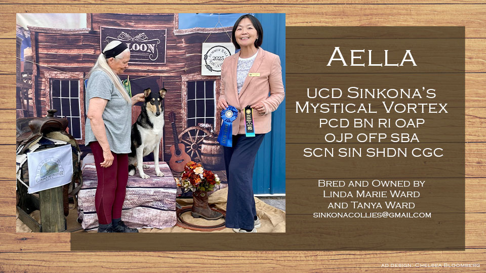 Sinkona Collies -- UCD Sinkona's Mystical Vortex PCD BN RI OAP OJP OFP SBA SCN SIN SHDN CGC