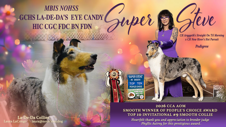 Collies Online Homepage