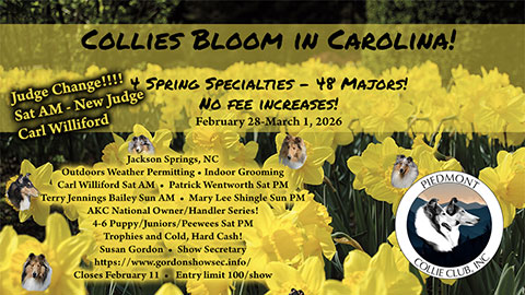Piedmont Collie Club  &ndash; 2026 Specialty Shows