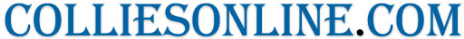 colliesonline.com