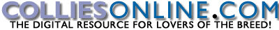 Welcome to ColliesOnline.com